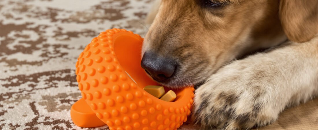Melhores Brinquedos para Cães Ansiosos