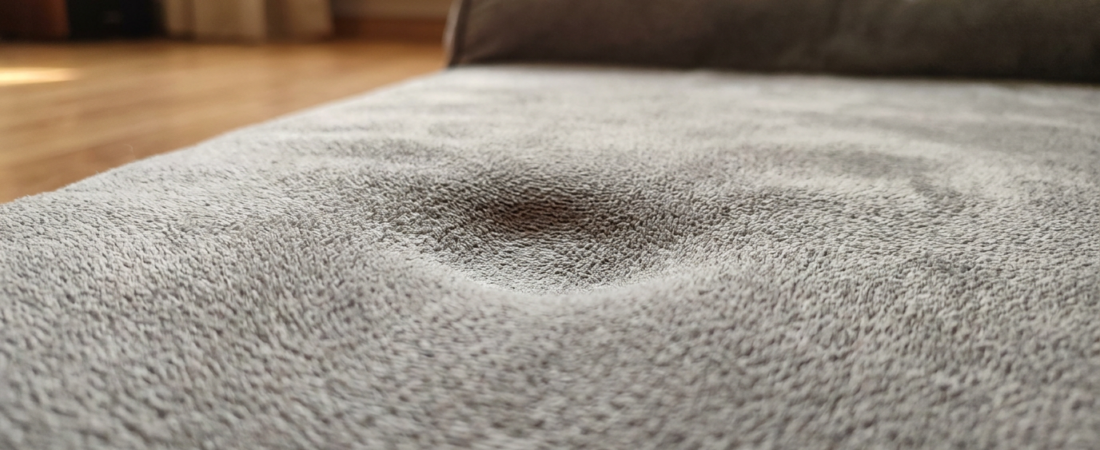 camas para cães de porte médio